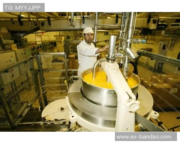 法兰克福计划与瓦希进行会谈预计将决定其未来去留问题